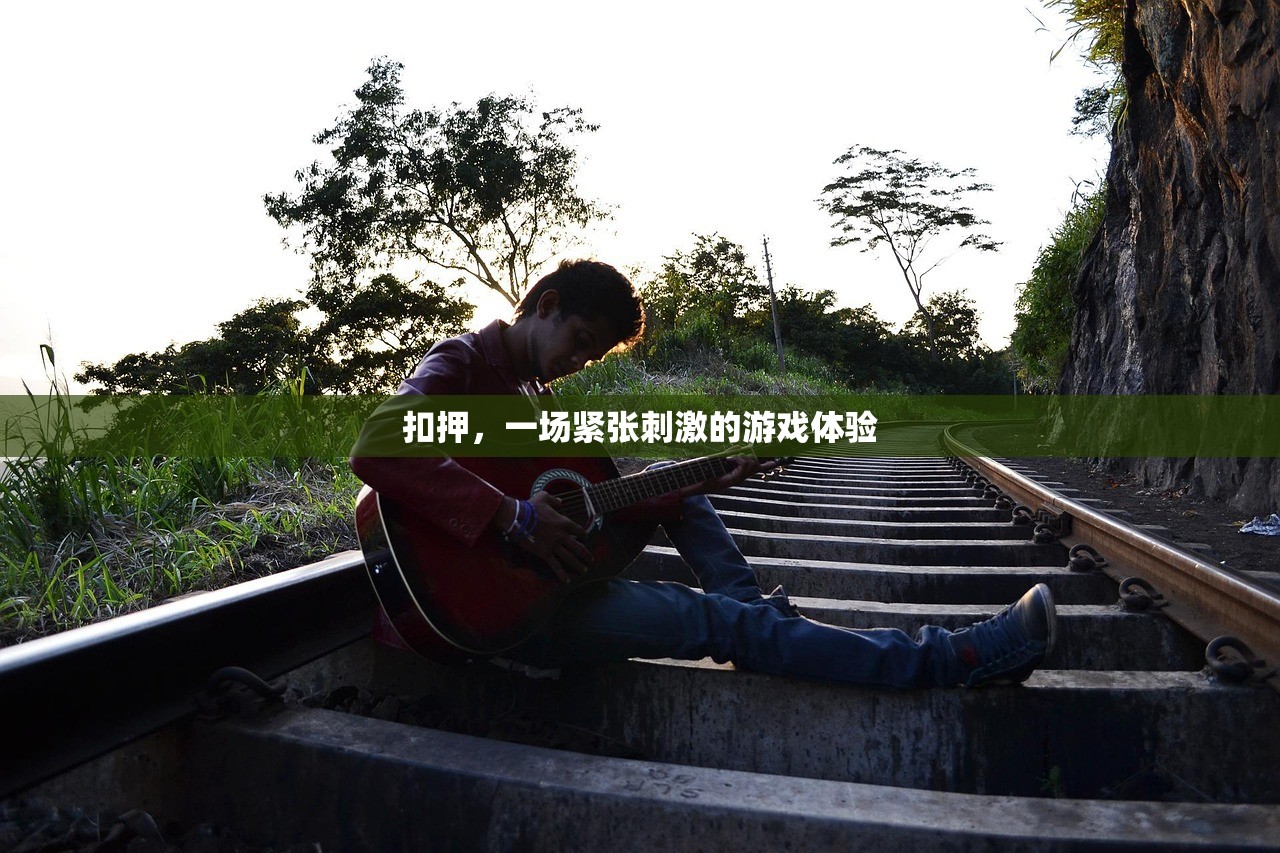 扣押，一场紧张刺激的游戏体验