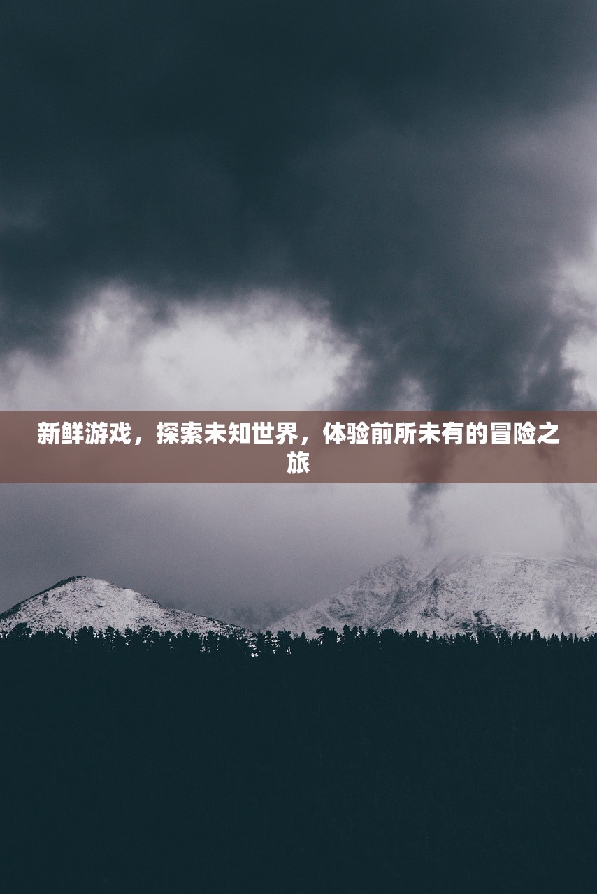 新鲜游戏，探索未知世界，体验前所未有的冒险之旅
