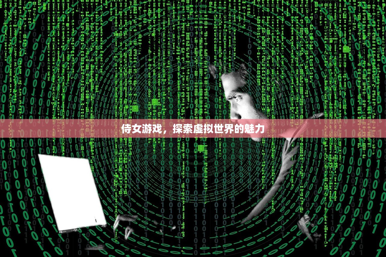 侍女游戏，探索虚拟世界的魅力