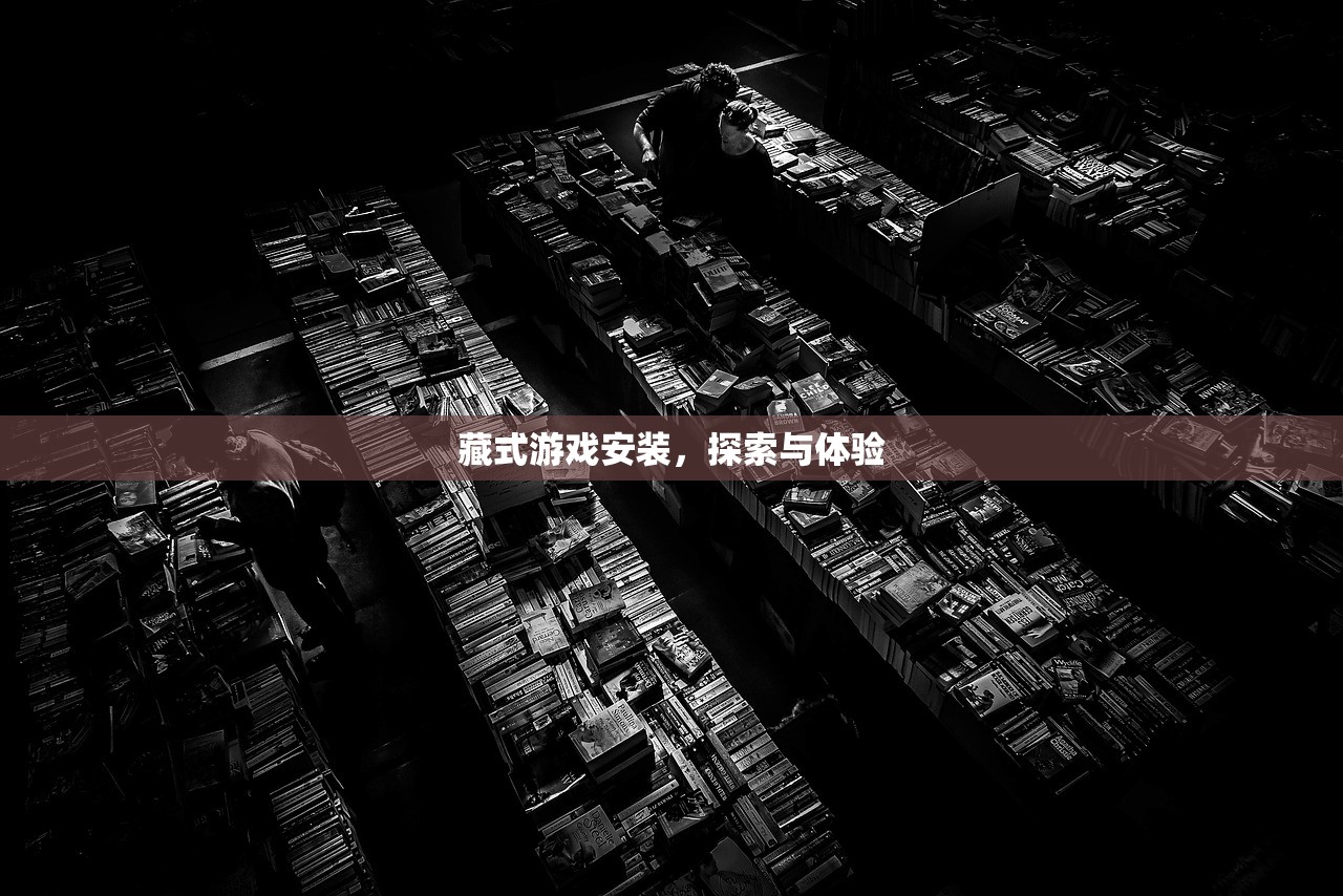 藏式游戏安装，探索与体验