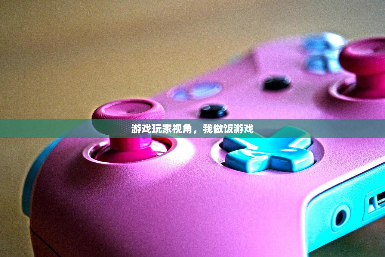 游戏玩家视角，我做饭游戏