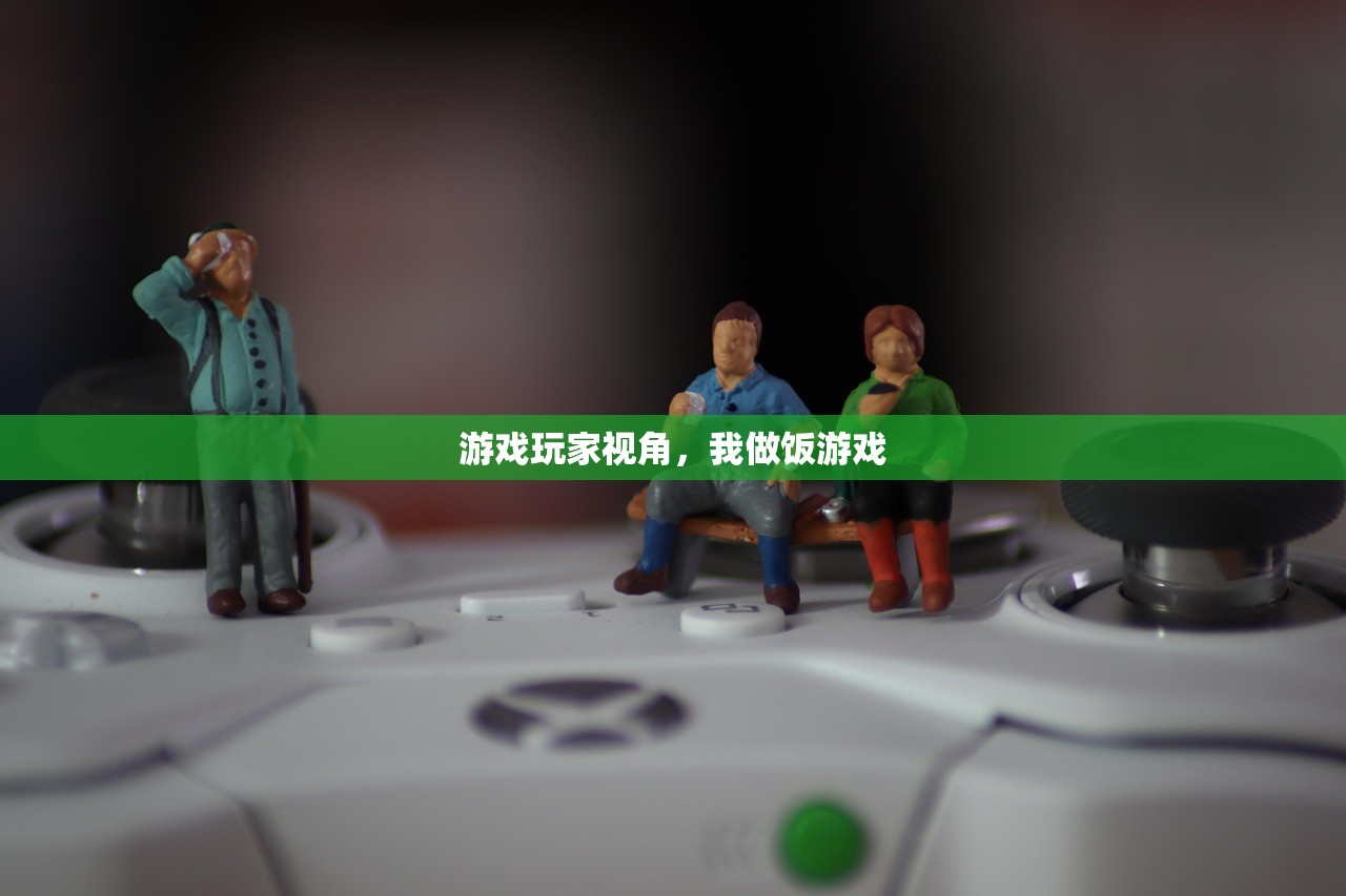 游戏玩家视角，我做饭游戏