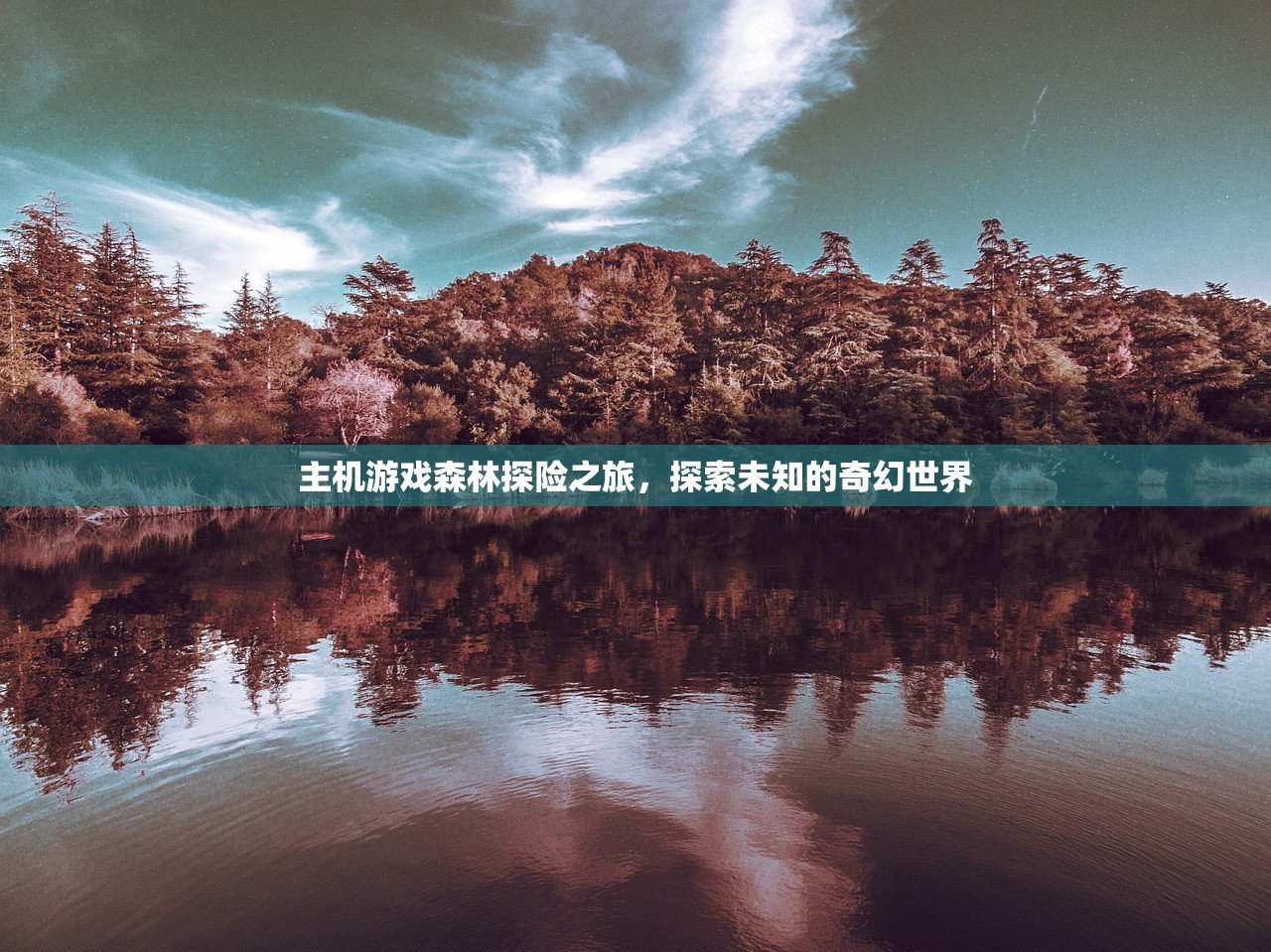 主机游戏森林探险之旅，探索未知的奇幻世界