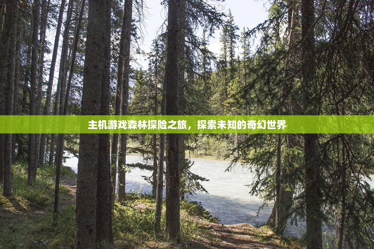 主机游戏森林探险之旅，探索未知的奇幻世界