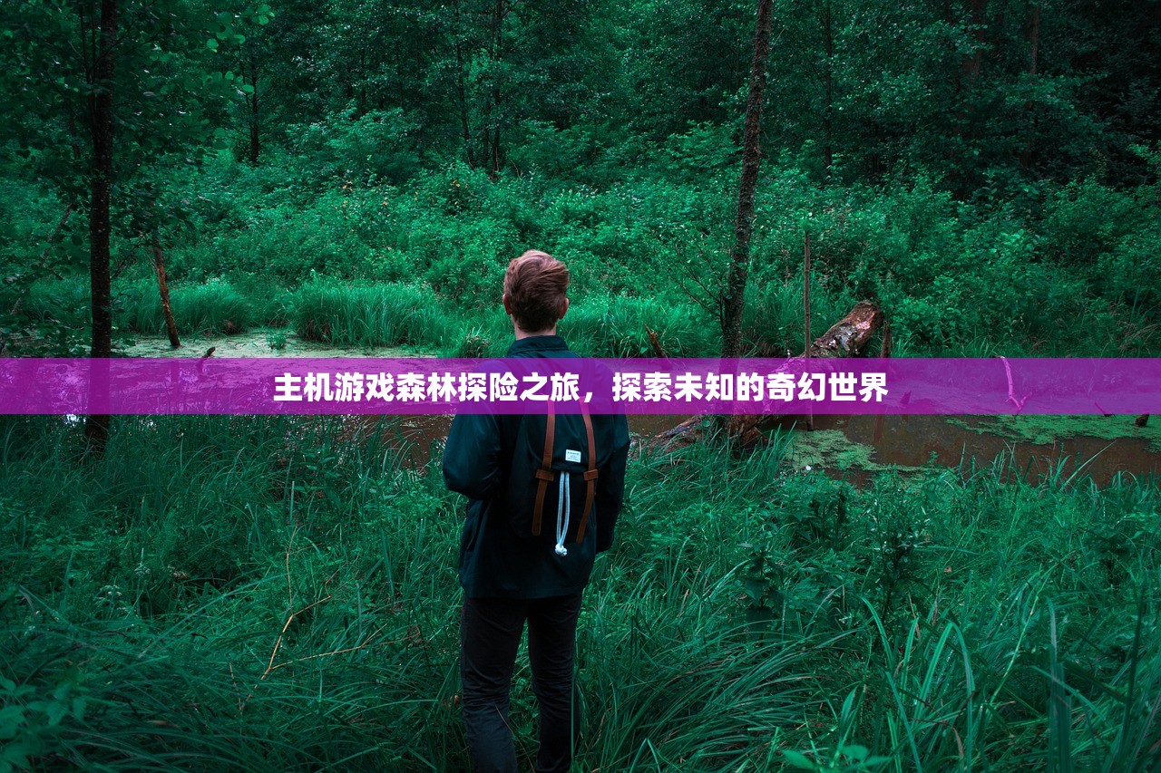 主机游戏森林探险之旅，探索未知的奇幻世界