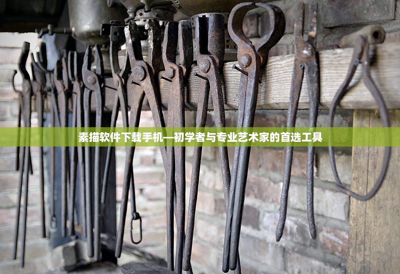 素描软件下载手机—初学者与专业艺术家的首选工具