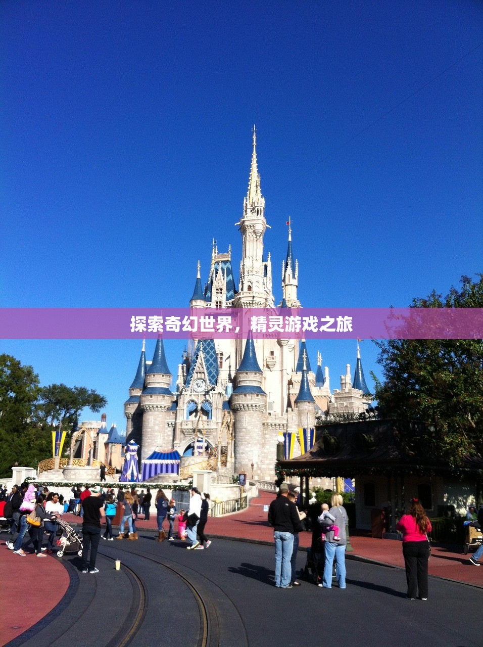 探索奇幻世界，精灵游戏之旅