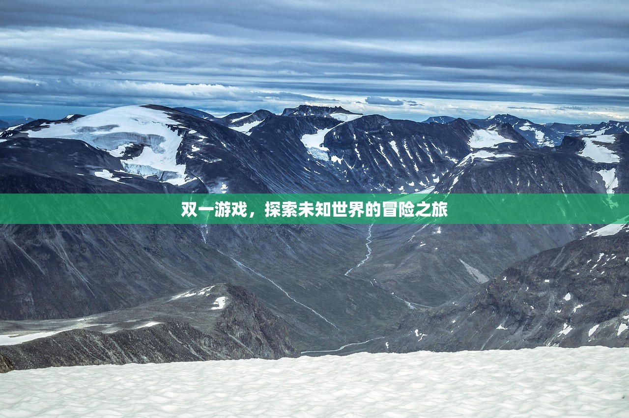 双一游戏，探索未知世界的冒险之旅
