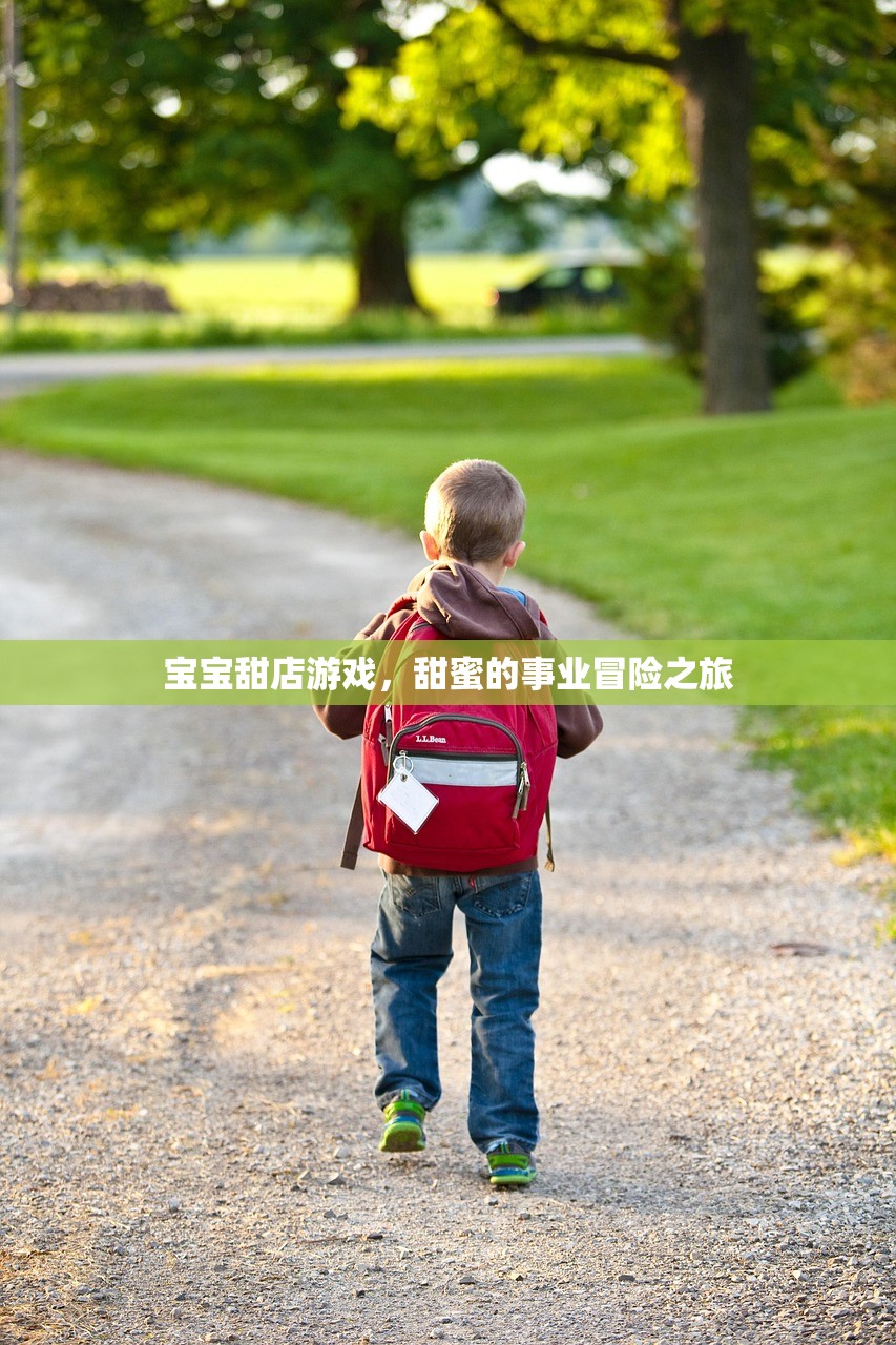 宝宝甜店游戏，甜蜜的事业冒险之旅