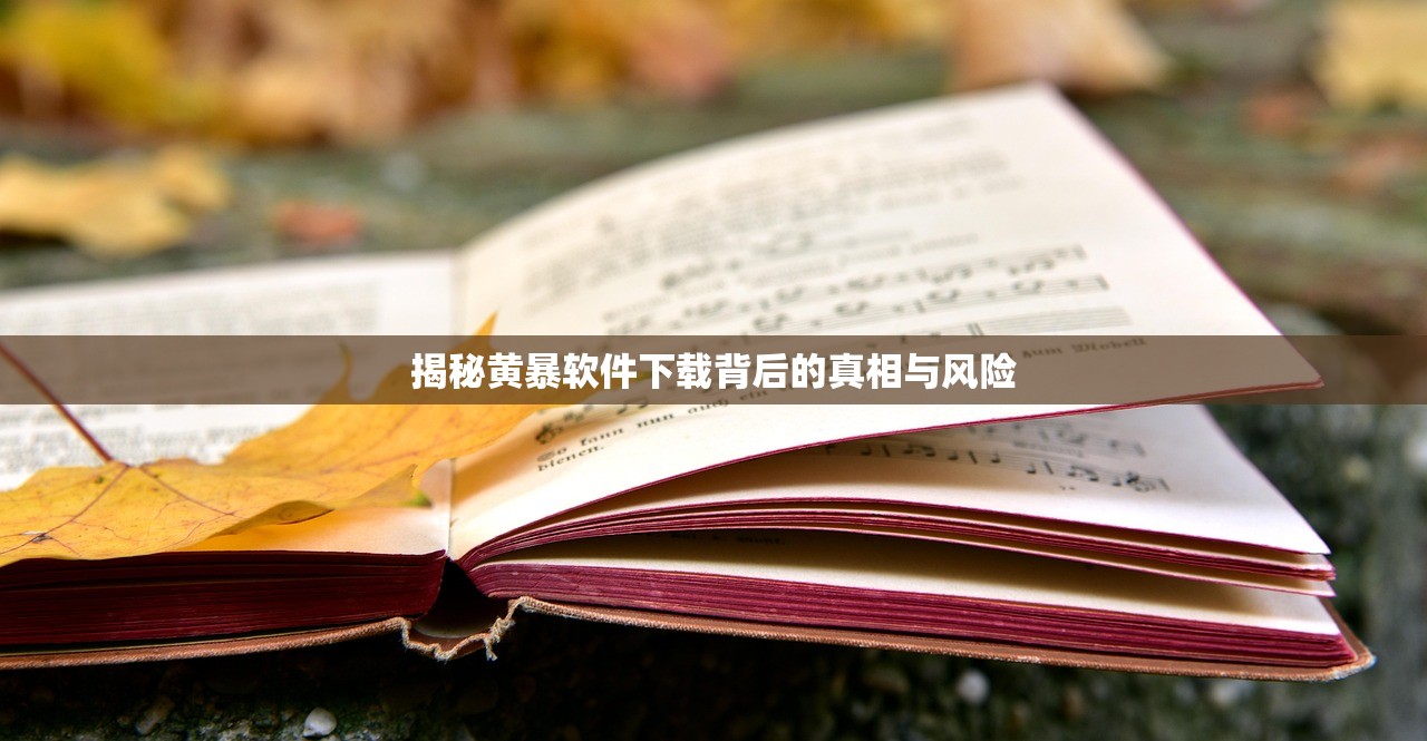 揭秘黄暴软件下载背后的真相与风险