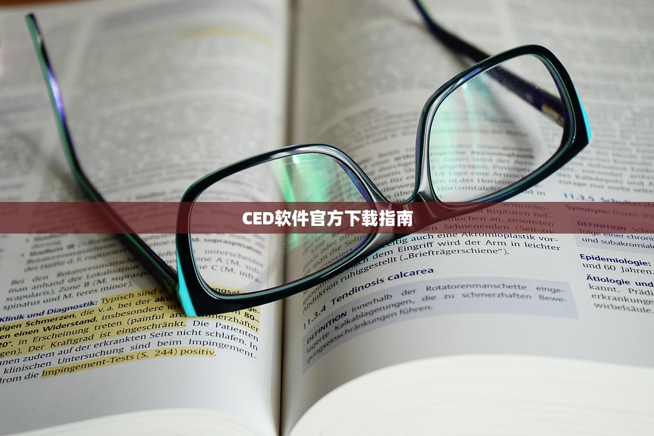 CED软件官方下载指南