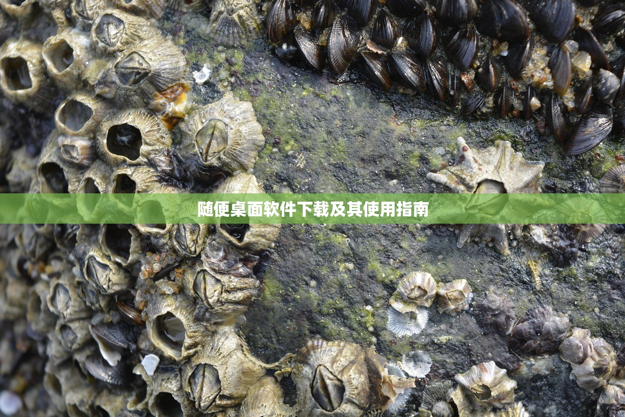 随便桌面软件下载及其使用指南