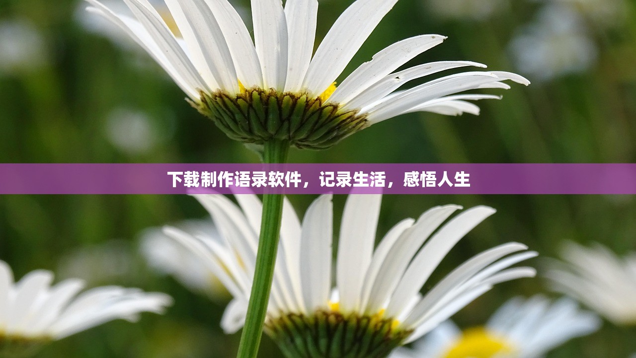 下载制作语录软件，记录生活，感悟人生