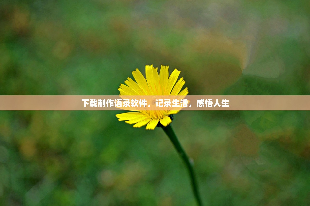 下载制作语录软件，记录生活，感悟人生