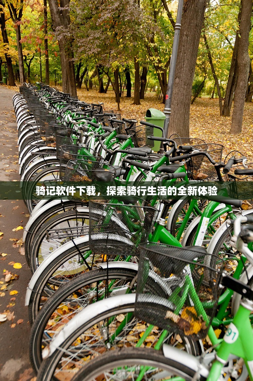 骑记软件下载，探索骑行生活的全新体验