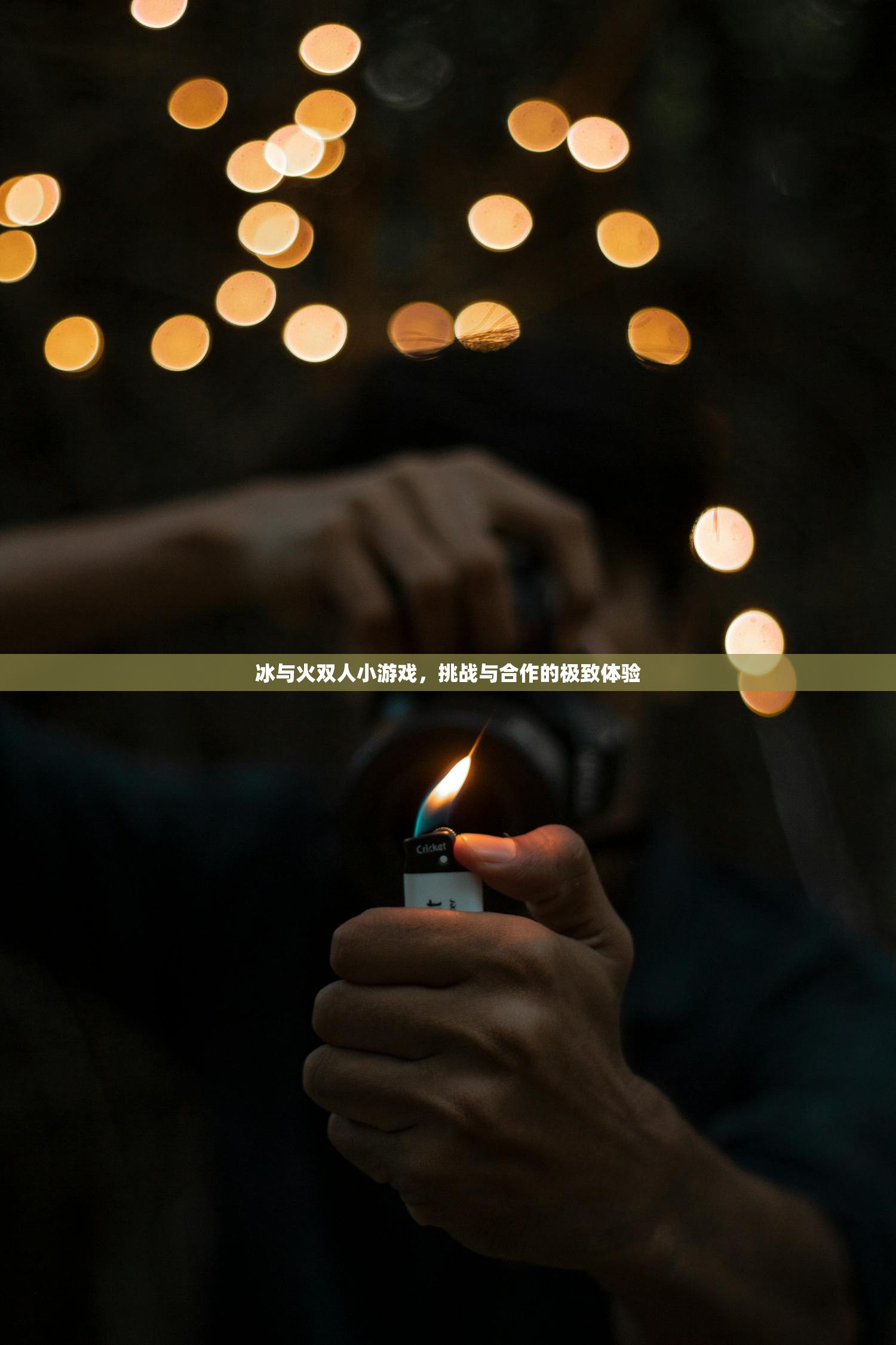 冰与火双人小游戏，挑战与合作的极致体验