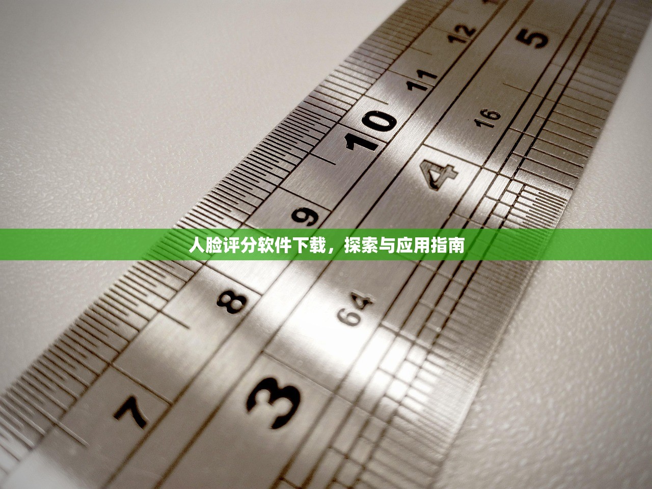 人脸评分软件下载，探索与应用指南