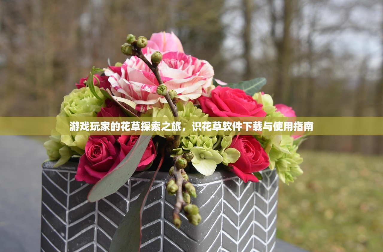 游戏玩家的花草探索之旅，识花草软件下载与使用指南
游戏玩家的花草探索之旅，识花草软件下载与使用指南