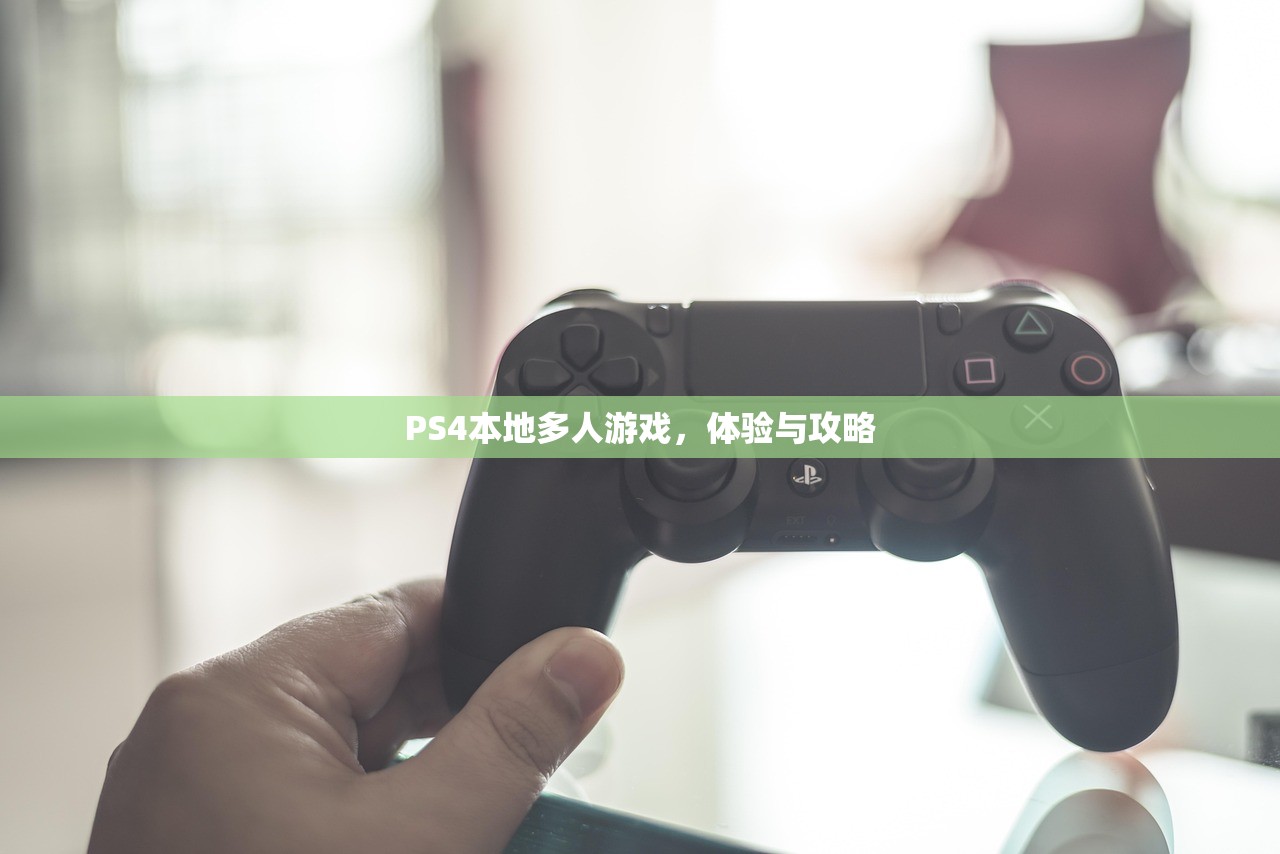 PS4本地多人游戏，体验与攻略
