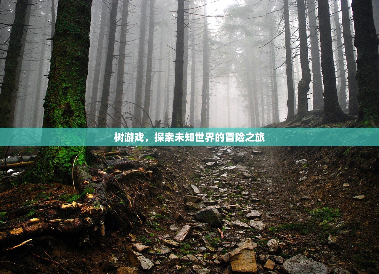 树游戏，探索未知世界的冒险之旅