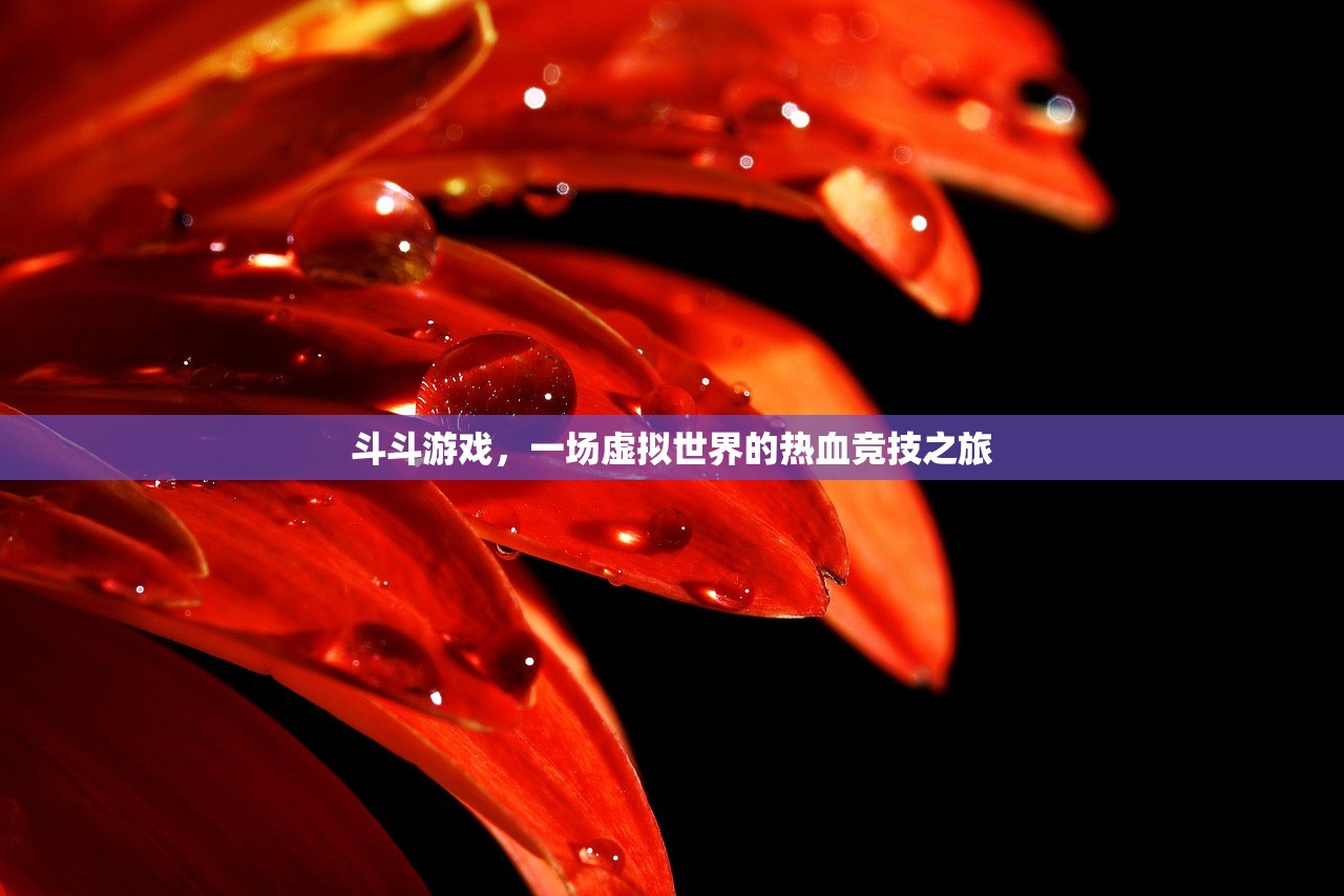 斗斗游戏，一场虚拟世界的热血竞技之旅