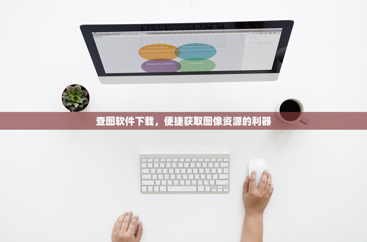 查图软件下载，便捷获取图像资源的利器