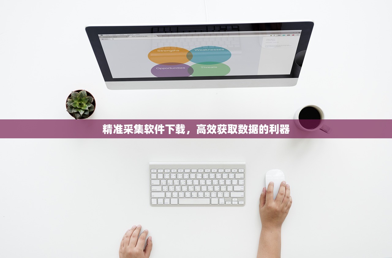 精准采集软件下载，高效获取数据的利器