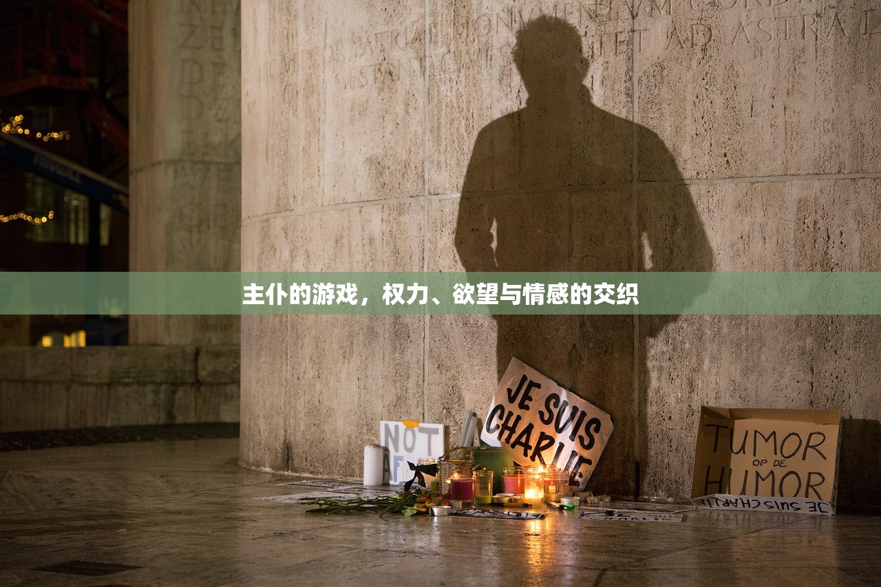 主仆的游戏，权力、欲望与情感的交织