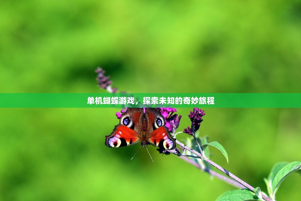 单机蝴蝶游戏，探索未知的奇妙旅程
