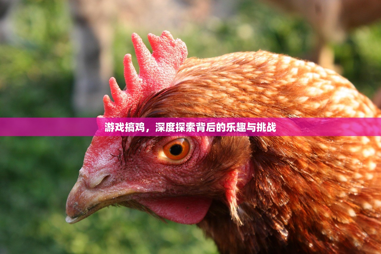 游戏搞鸡，深度探索背后的乐趣与挑战