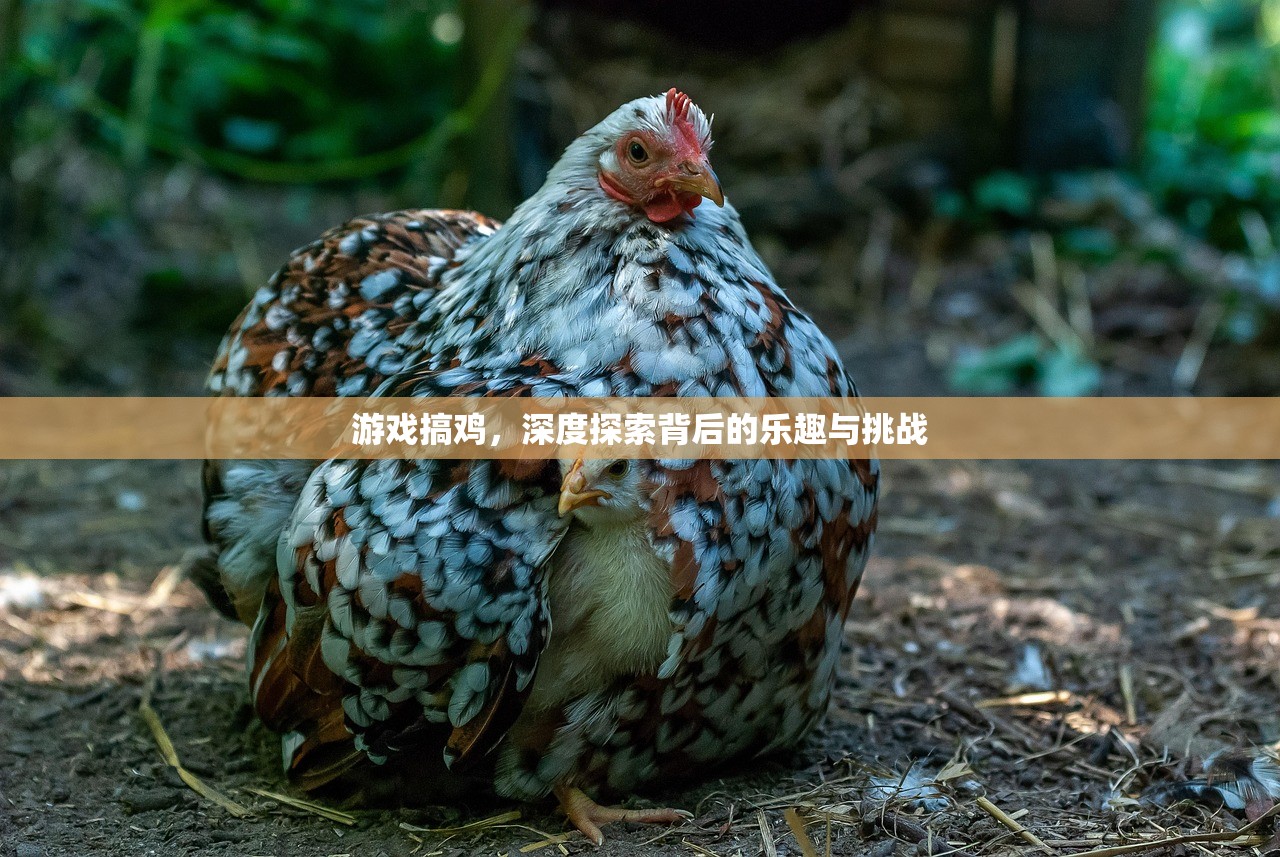 游戏搞鸡，深度探索背后的乐趣与挑战
