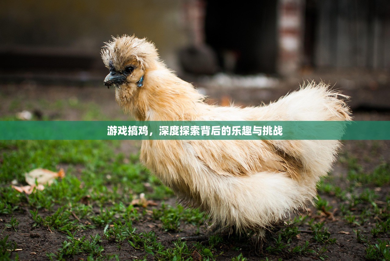 游戏搞鸡，深度探索背后的乐趣与挑战