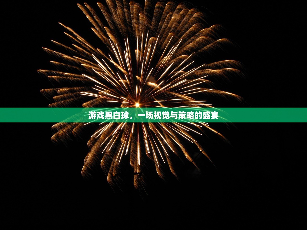 游戏黑白球，一场视觉与策略的盛宴