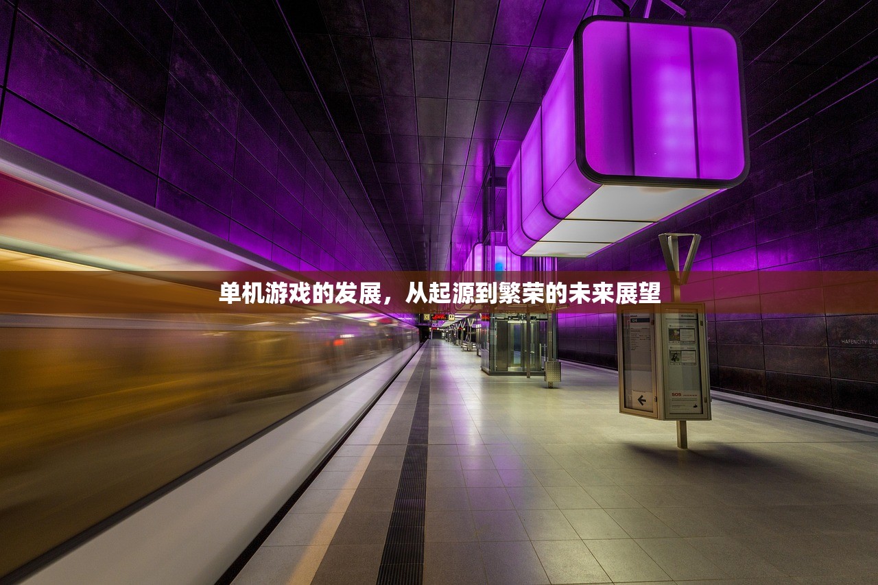 单机游戏的发展，从起源到繁荣的未来展望