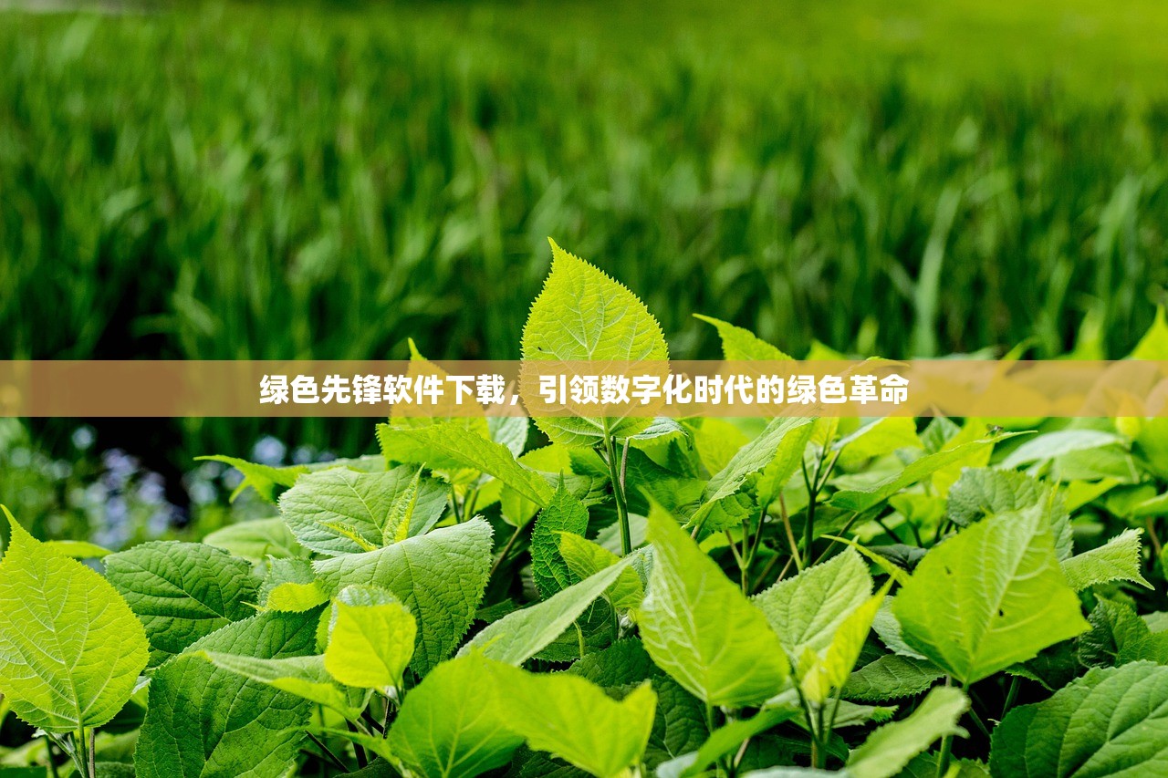 绿色先锋软件下载，引领数字化时代的绿色革命