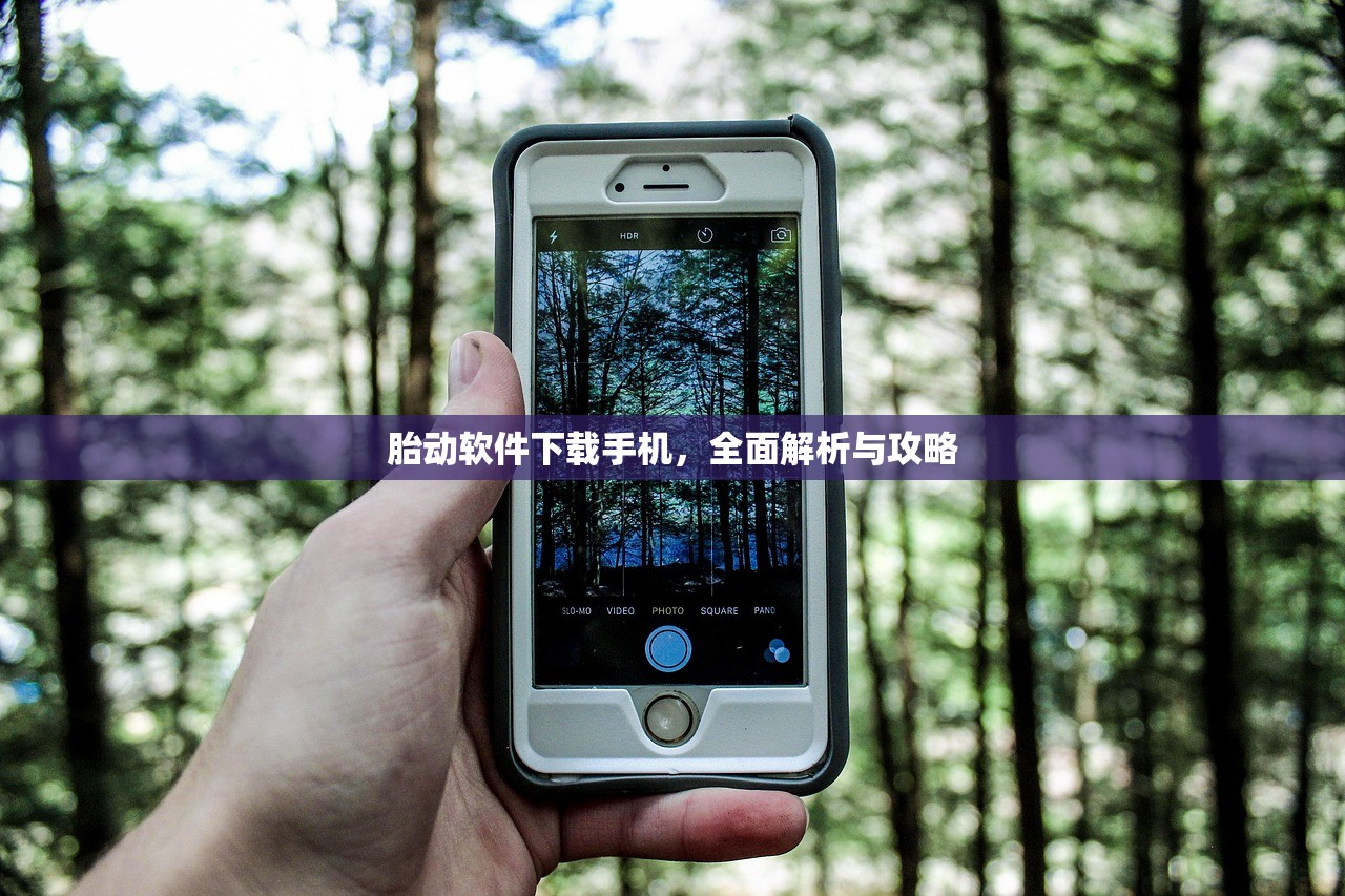 胎动软件下载手机，全面解析与攻略