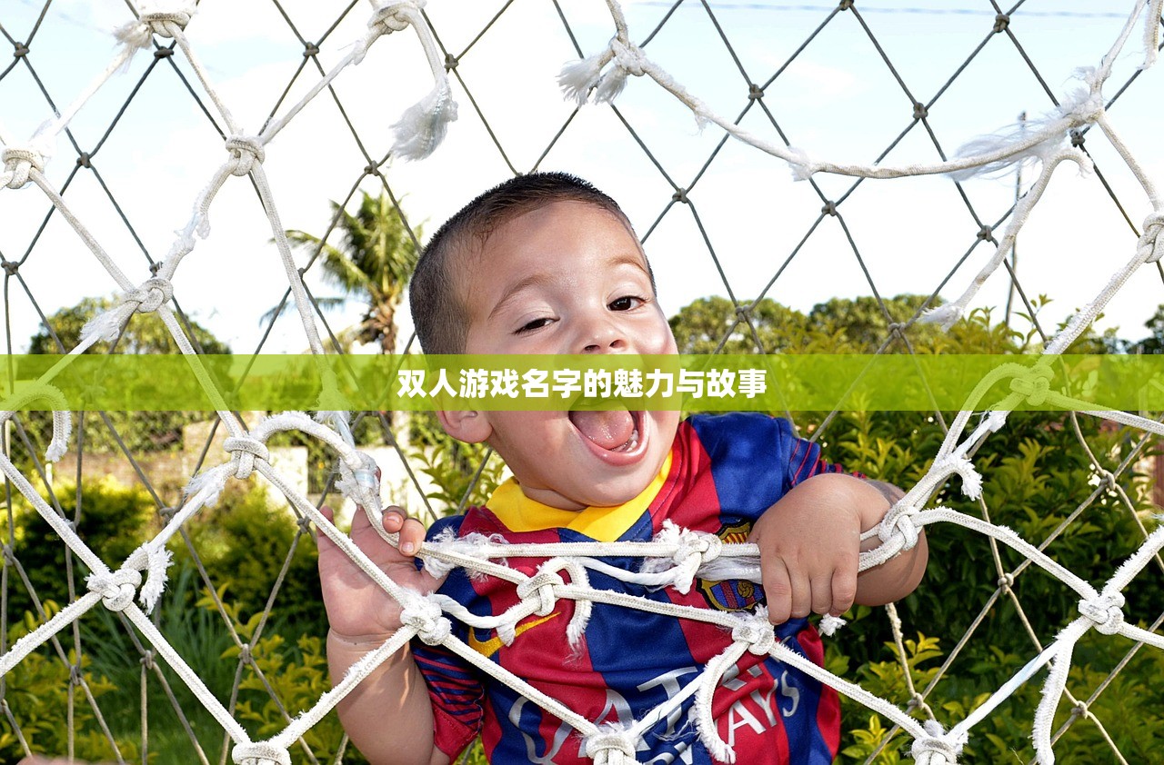 双人游戏名字的魅力与故事