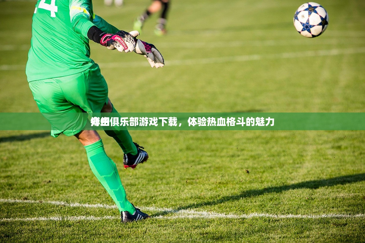 搏击俱乐部游戏下载，体验热血格斗的魅力
介绍