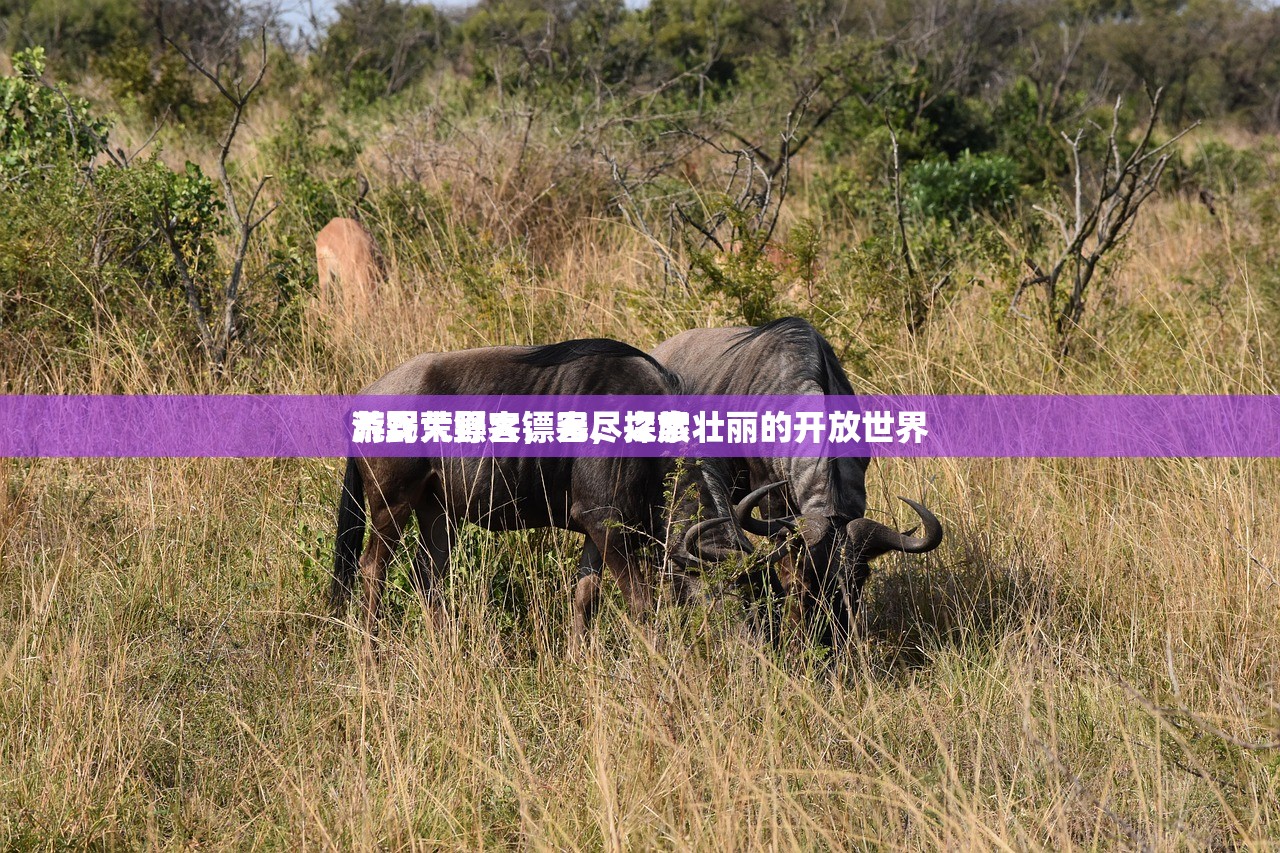 游戏荒野大镖客，探索壮丽的开放世界
荒野大镖客，无尽之旅