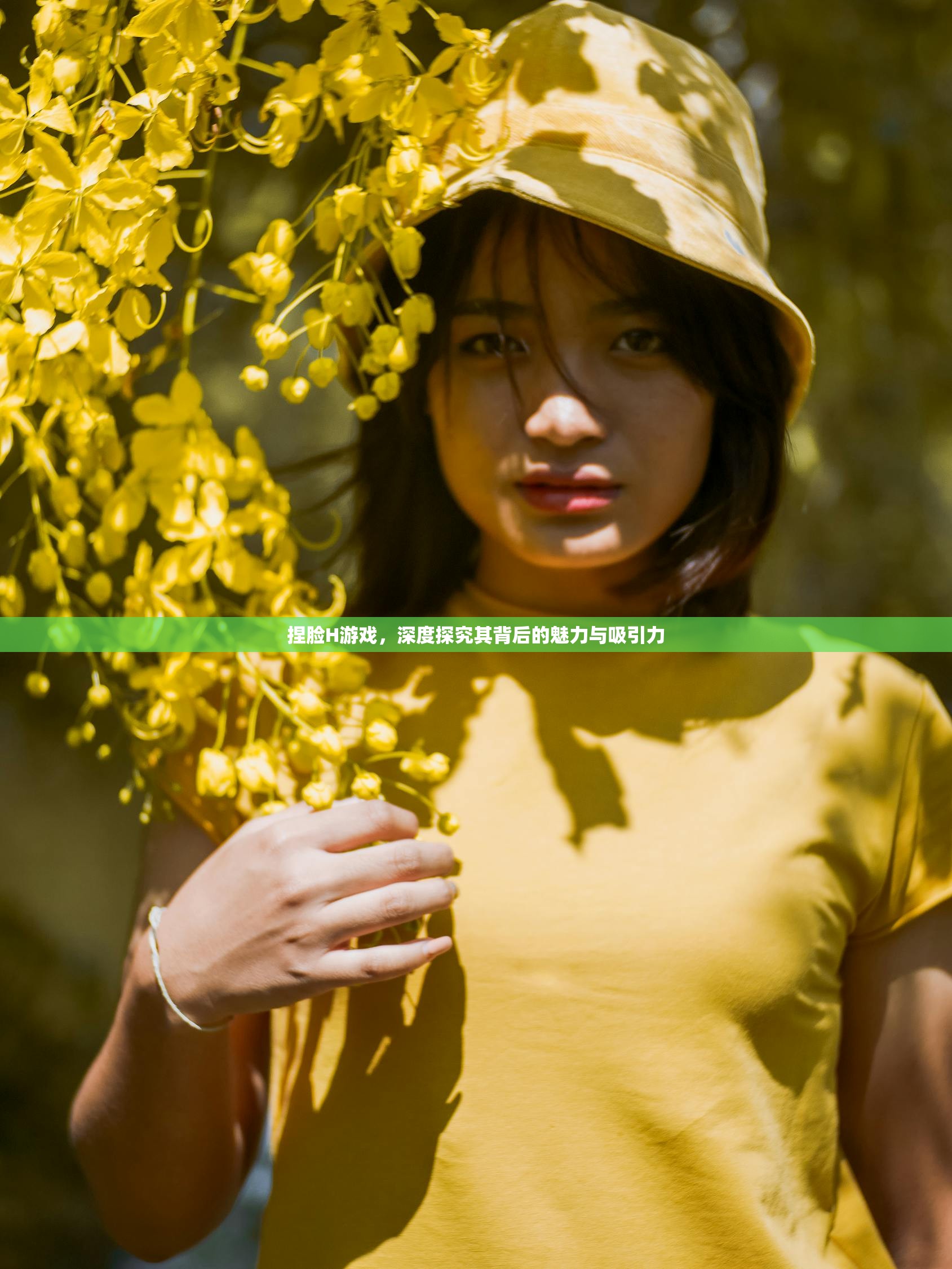 捏脸H游戏，深度探究其背后的魅力与吸引力
