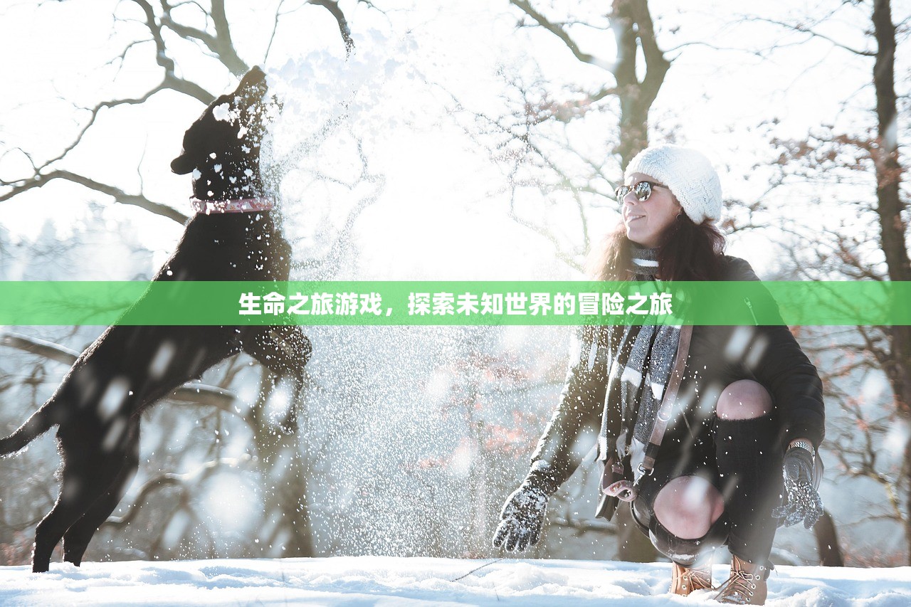生命之旅游戏，探索未知世界的冒险之旅