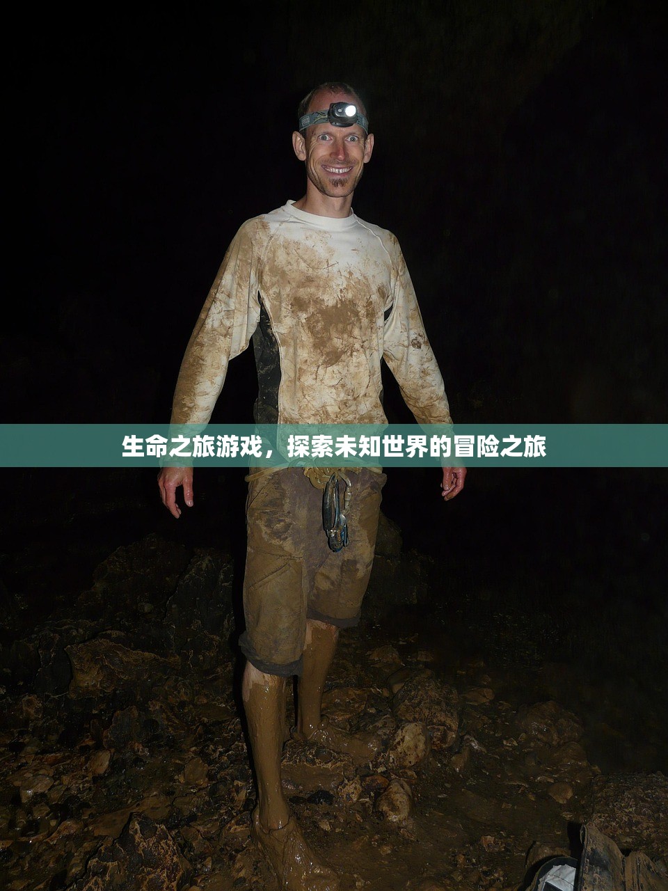 生命之旅游戏，探索未知世界的冒险之旅